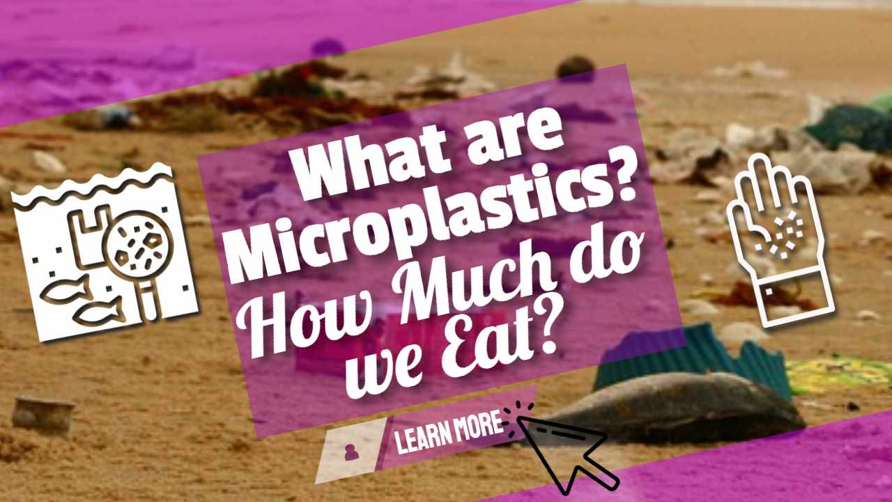 Image text: "What are Microplastics How Much do we Consume"